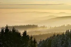 Misty Prints: ambient, area, atmospheric, aurora, break, carpathian, countryside, czech, dawning