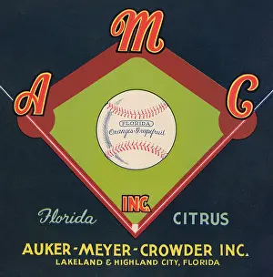 Florida Prints: A.M.C. Inc Florida Citrus
