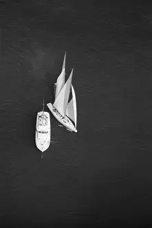 America Cup