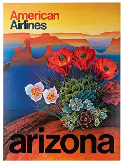 American Airlines Arizona Poster