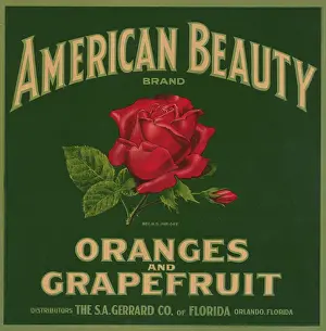 Rose Prints: American Beauty Brand