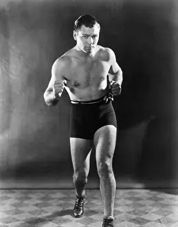 American Champ