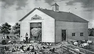 Barn Prints: American Clapboard With Farm Scene