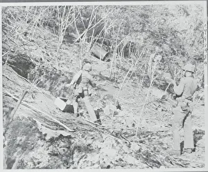Saipan Prints: American Marines Smoking Bushes to Run out Enemy Troops
