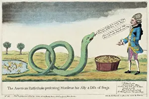 Frogs Prints: The American Rattlesnake