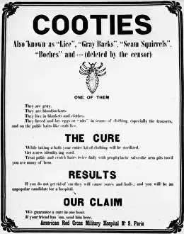 American Red Cross Poster