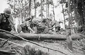 A Shau Valley Prints: American Soldiers on Hamburger Hill