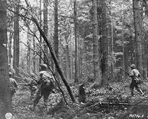 American Troops Strolling Carefully in Hurtgen Forest