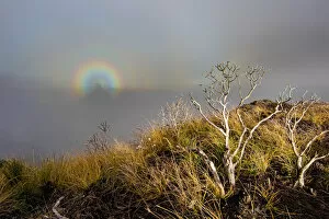 Images Dated 29th April 2011: Amphitheater rainbow, Royal Natal National Park, KwaZulu-Natal, South Africa