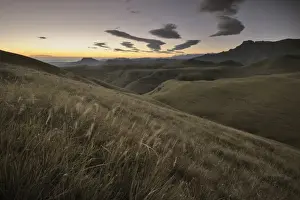 Ridge Prints: The Amphitheatre at Dawn in the Drakensberg, Witsieshoek, Kwazulu-Natal, South Africa