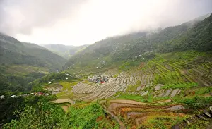 Banaue Prints: Amphitheatre rice terraces of Batad