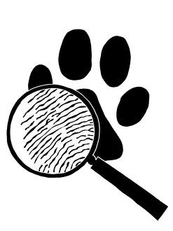Scrutiny Prints: analysing, black and white, crime, criminal investigation, criminology, detective
