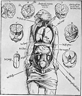 Images Dated 2nd July 2009: Anatomia Corporis Humani