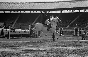 Equestrian Prints: Ancient Chivalry