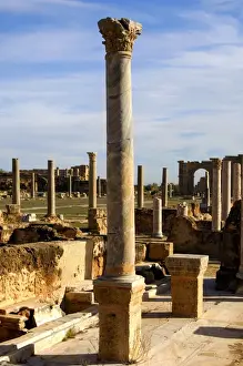 Magna Prints: Ancient column with Corinthian capital, Leptis Magna, Libya