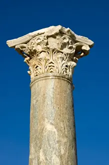 Ancient column with Corinthian capital, Leptis Magna, Libya
