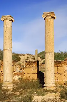 Excavation Prints: Ancient columns iwith ionic capital, ruins of the Roman City Leptis Magna, Libya
