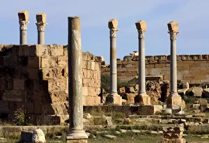 Magna Prints: Ancient columns, Ruins of the Roman City Leptis Magna, Libya