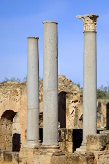 Excavation Prints: Ancient columns in the ruins of the Roman City Leptis Magna, Libya