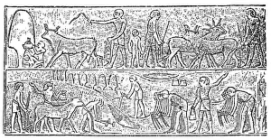 Wine Bottle Prints: Ancient Egypt agriculture