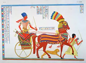 Cheetah Prints: Ancient Egyptain fresco, 19th century. Artist: Ippolito Rosellini