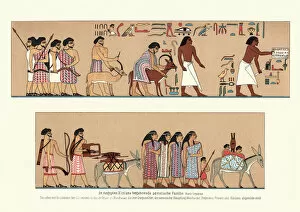 Images Dated 15th June 2018: Ancient Egyptian family bearing gifts
