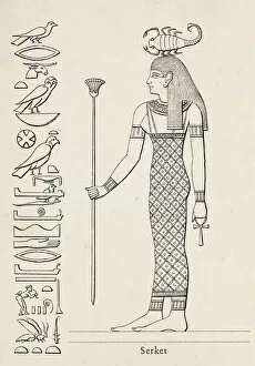 Ancient Egyptian Gods and Goddesses Gallery: Ancient egyptian hieroglyph of Serket goddess of fertility
