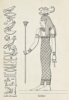 Ancient egyptian hieroglyph of Serket goddess of fertility