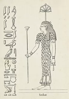 Ancient Egyptian Gods and Goddesses Gallery: Ancient egyptian hieroglyph of Seshat goddess of architecture