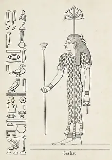 Ancient egyptian hieroglyph of Seshat goddess of architecture