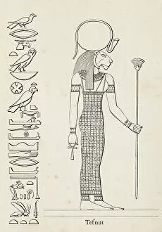 Ancient Egyptian Gods and Goddesses Gallery: Ancient egyptian hieroglyph of Tefnut deity of moisture