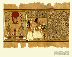 Ancient Egypt Collection: Ancient Egyptian Papyrus of Ani - Book of the Dead
