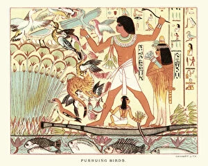 Egyptian Culture Collection: Ancient egyptians hunting birds