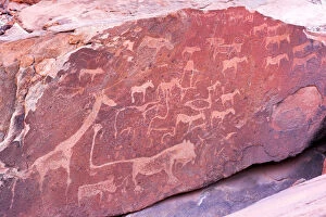 Images Dated 23rd February 2017: Ancient rock carvings, Damaraland, Namibia, Africa