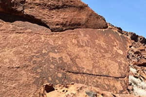 Images Dated 11th February 2017: Ancient rock carvings, Twyfelfontein, Kunene Region, Namibia
