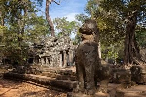 Images Dated 25th February 2016: The Ancient Ta Prohm Temple in the Rain Forest