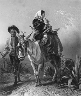 Images Dated 19th September 2007: Andalusian Journey