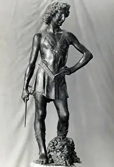 Fine Art Storehouse Print of Andrea Verrochio's David. Art Prints