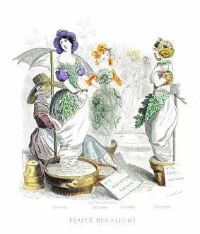 Grandville Prints: Anemone, Geranium, Scotch Broom