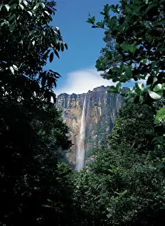 Images Dated 17th October 2013: Angel Falls, Canaima National Park, Venezuela