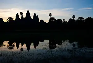 Cambodian Prints: Angkor Temple Silhouette Puddle Grass