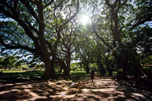 Images Dated 10th August 2014: Angkor Wat