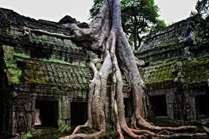 Temple Body Part Prints: Angkor Wat Asia