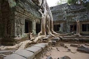 Images Dated 16th November 2012: Angkor wat - Ta Thom - Cambodia