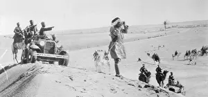 Camel Prints: Anglo-Egyptian Army in Egypt