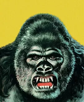 Cruel Gallery: Angry Gorilla Illustration