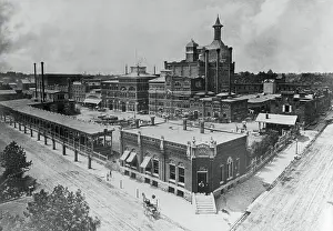 Anheuser Busch Brewery