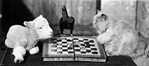 Board Game Prints: Animal Draughts