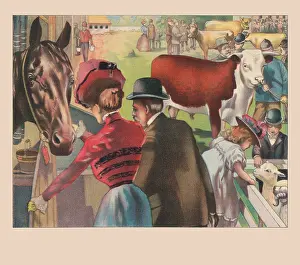 Bull Prints: Animal Fair