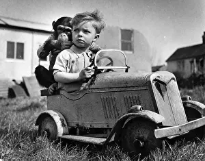 Toy Car Prints: Animal Friends